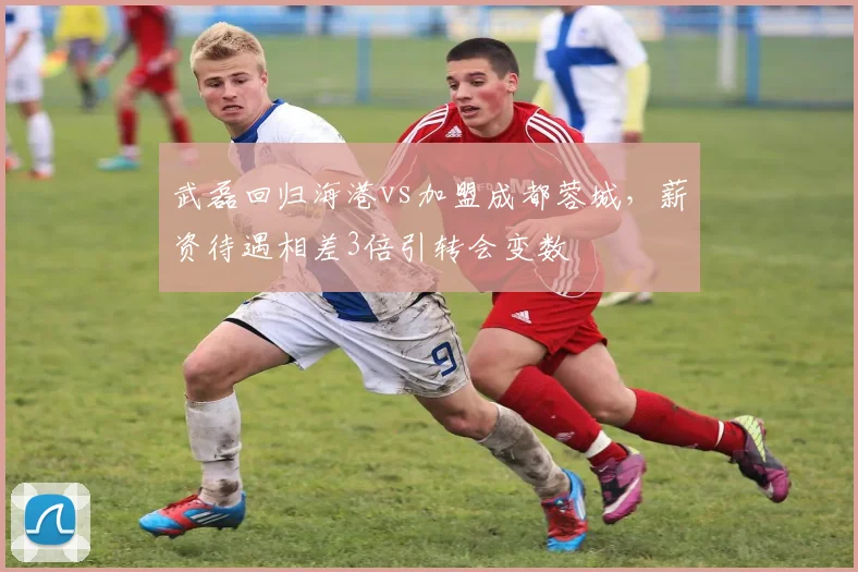 武磊回归海港vs加盟成都蓉城,薪资待遇相差3倍引转会变数