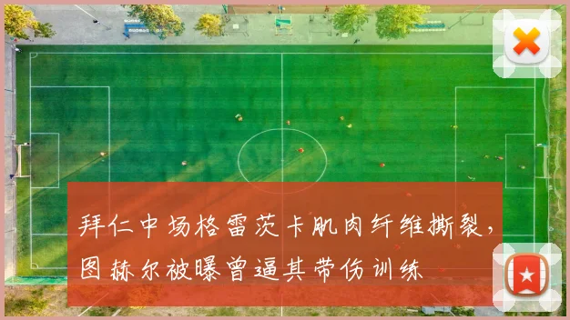 拜仁中场格雷茨卡肌肉纤维撕裂，图赫尔被曝曾逼其带伤训练